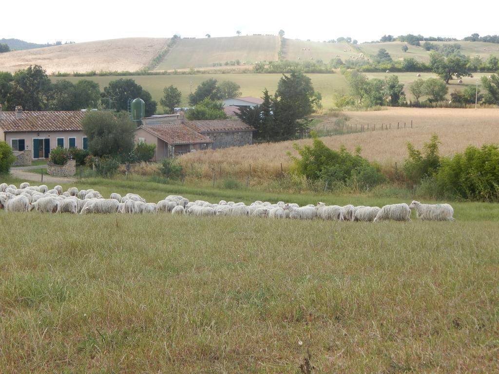 Villa Piane Del Bagno Saturnia Exterior foto